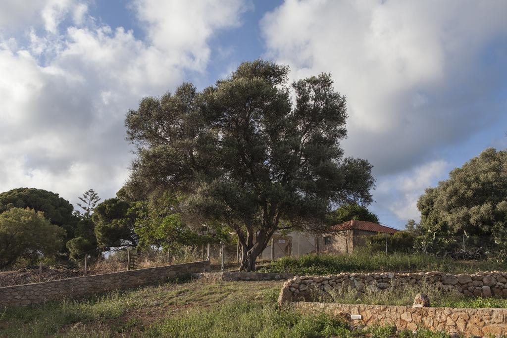 מרתופוליס Dialiskari Villas מראה חיצוני תמונה